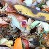 Kompostovanie biologicky rozložiteľného odpadu - Ilustračná fotografia