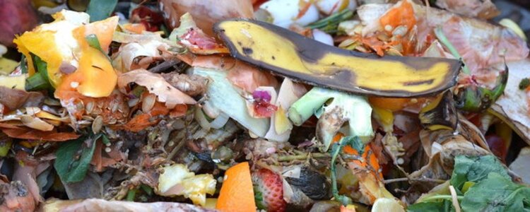 Kompostovanie biologicky rozložiteľného odpadu - Ilustračná fotografia